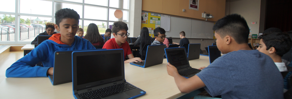 Male and female students working on laptops
